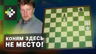 Коням здесь не место!  // Этюд #6