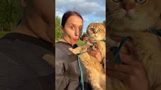 He Committed to the Scene.#cat kitty #catlover #catso