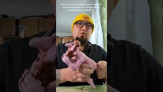 Всем салам алейкум. Сегодня утром мне поступил звонок в котором мне четко пояснили что мое поведение