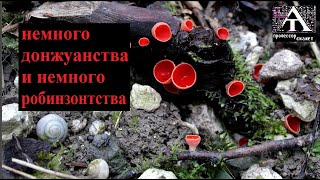 А. Соболев "Сонет с неправильной рифмовкой" (2024)