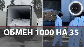 Обмен телами 1000 ВСУ на 35 РФ | Морг под Одессой | Кладбище во Львове | Цена затягивания конфликта