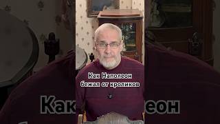 Как Наполеон бежал от кроликов #красивосказано #история #точносказано #новости #скрытые #факты