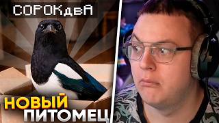 НОВЫЙ ПИТОМЕЦ ПЯТЁРКИ: СОРОКА СОРОКдвА | ПЯТЁРКА ПРИЮТИЛ ПТИЧКУ с БОЛЬНЫМ КРЫЛОМ 😞