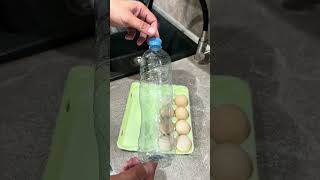 Так хранили яйца ещё наши бабушки! #diy #shorts #dom