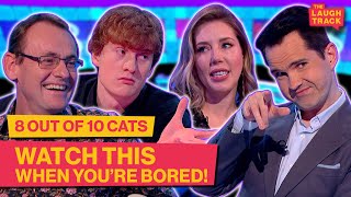 Mundane Things But Make Them Funny | 8 Out Of 10 Cats | The Laugh Track