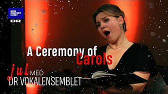 A Ceremony of Carols // Danish National Vocal Ensemble (LIVE)