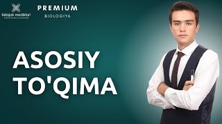 4.3b-O'simliklar asosiy to'qimasi || 4.3б-Ўсимликлар асосий тўқимаси