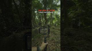 Снимаю нового хищника