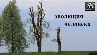 Попов В. "Последнее безумное поколение" (2023)