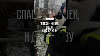 Спасли козу, бабушку и целый остров собак🐐