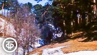 Март. Видовой фильм из цикла "Двенадцать месяцев" (1977)