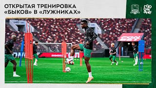 Открытая тренировка «быков» в «Лужниках»