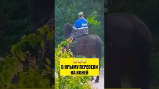 😅В КРЫМУ ПЕРЕСЕЛИ НА КОНЕЙ
