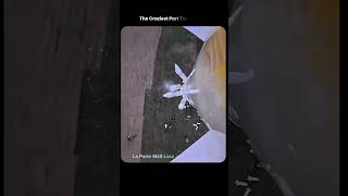 Kids Made a Two-Stage Rocket From Bottles
