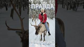 Правда или Фейк?