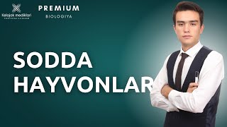 3.6-Sodda hayvonlar tipi || 3.6-Содда ҳайвонлар типи