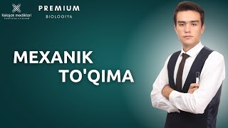4.3 e- O'simliklar mexanik to'qimasi || 4.3 е- Ўсимликлар механик тўқимаси