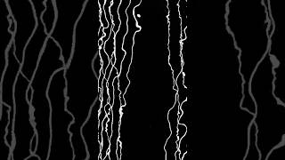 Time & Line // Danish National Symphony Orchestra x Den Sorte Skole x CPH Light Festival