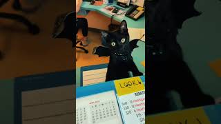 The most dramatic black cat.#cat #kitty #catlover #cats