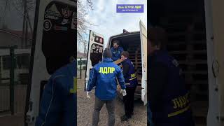 🐾 Помогли приюту для животных в п. Элита