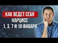 Нарцисс в первые дни Нового года