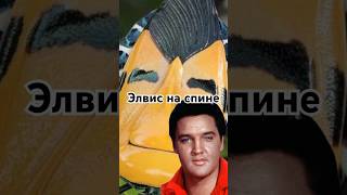 Элвис на спине #история #точносказано #красивосказано #элвиспресли #history #клопы