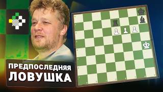 Предпоследняя ловушка // Этюд #8