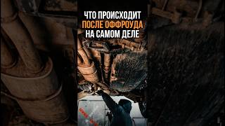 ЧТО ПРОИСХОДИТ ПОСЛЕ ОФФРОУДА НА САМОМ ДЕЛЕ
