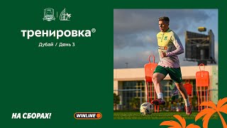 Быки на сборах. День 3.