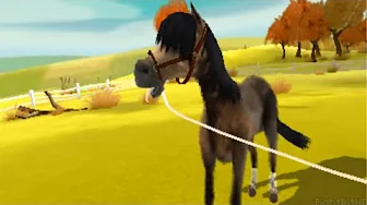 2in1 Horses 3D - My Foal 3D [Nintendo 3DS] Gameplay