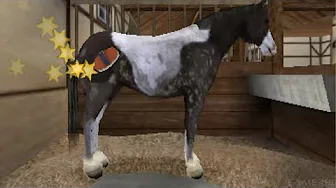 Life with Horses 3D [Nintendo 3DS] Gameplay
