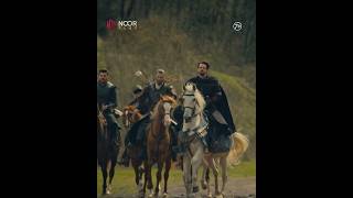 الثعالب أعدّت الكمائن للأسود، لكنها أساءت تقدير قوّتها 🦁🔥