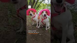 Харківʼянка співає разом зі своїми собаками / hromadske