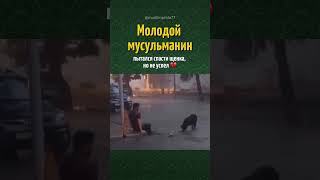 Мусульманин пытался спасти щенка 💔