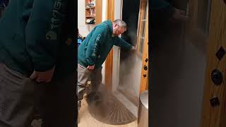 The cat lost the ability to walk in the snow.😂.#cat  #kitty #catlover #cats