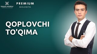 4.3 d- O'simliklar qoplovchi to'qimasi || 4.3 д- Ўсимликлар қопловчи тўқимаси