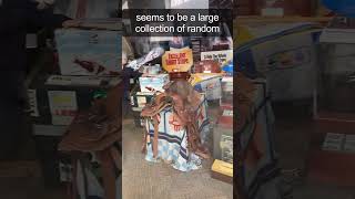 Southwest Airlines Corporate Tour: Celebrate #swa Unique Culture! #southwestairlines #airline #tour