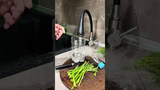 О чудо, вырастил зелень на подоконнике!🥬#diy #shorts #огород