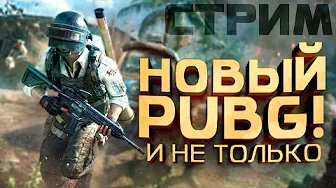 НОВЫЙ PUBG НА СТРИМЕ ШИМОРО! - ДАВАЙ ОЦЕНИМ АЛЬФУ ПОЛНОСТЬЮ!