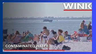 Lynn Hall Memorial Park tests positive for contaminated water