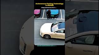 Self-Driving Cars Are Getting Crazy