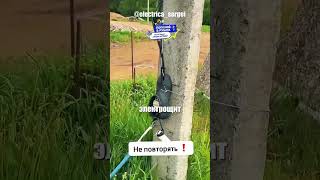 Пока электрики ломают голову над защитой щитовой, жители этих домов решили вопрос радикально.