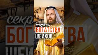 Секрет вечного БОГАТСТВА арабских шейхов #нефть #энергетика #соколовский #фальконфинанс #ресурсы