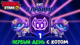 ПРОКАЧИВАЮ СВОЕГО КОТА (КИТ) в Бравл Старс | Brawl Stars Supercell | 1 ДЕНЬ с котом в игре
