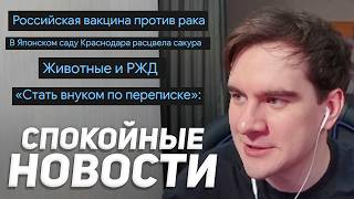 БРАТИШКИН СМОТРИТ: Антитревожные новости