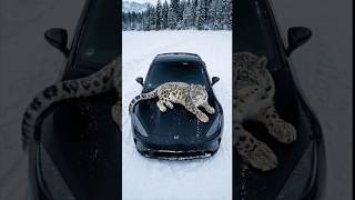 Кто такой Алексей Пономаренко - Монарх