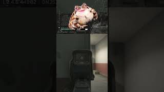Tarkov or R6 Siege