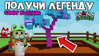 ПОЛУЧАЮ ЛЕГЕНДАРНОЕ CANDY BLOSSOM в ВЫРАСТИ САД роблокс | Grow a Garden roblox | Обнова на Пасху