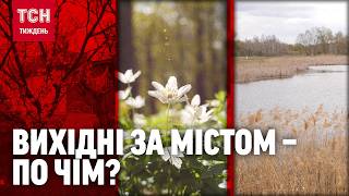 Куди поїхати на вихідні відпочити, у СКІЛЬКИ це вам може обійтися?/ТСН.Тиждень