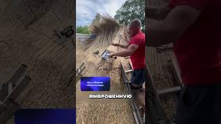 Дагестанцы ПОКОРИЛИ США  🤯